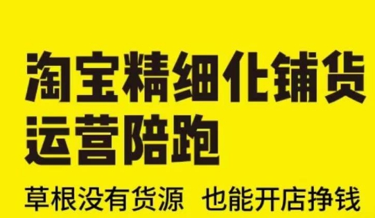 淘宝精细化铺货运营陪跑(部分更新至2025)，草根没有货源 也能开店挣钱-买得值资源库