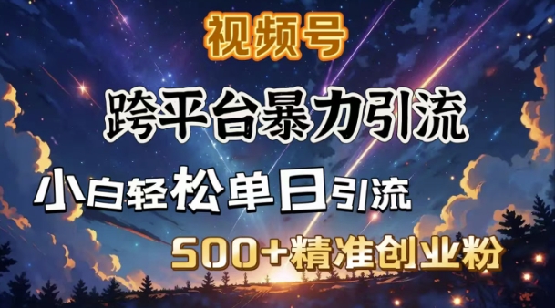 跨平台暴力引流，私域完美闭环，日引500+精准创业粉-买得值资源库