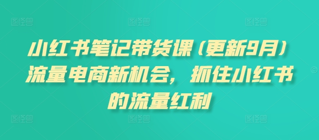 小红书笔记带货课(更新25年2月)流量电商新机会，抓住小红书的流量红利-买得值资源库