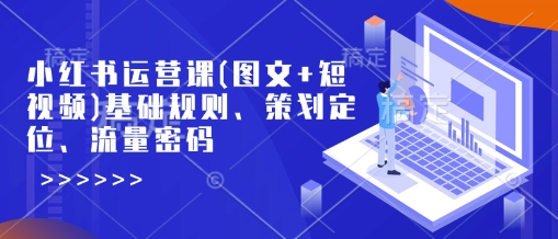 小红书运营课(图文+短视频)基础规则、策划定位、流量密码-买得值资源库