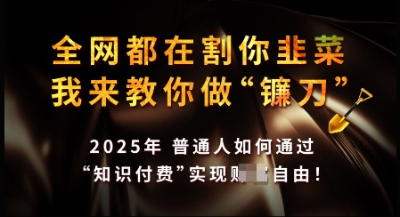 知识付费如何做到月入过W+，2025我来教你做“镰刀”【揭秘】-买得值资源库