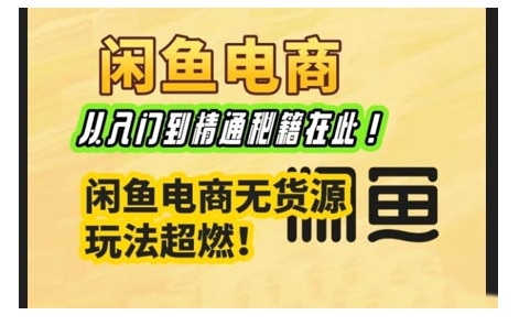 闲鱼电商实战课，从入门到精通秘籍在此，闲鱼电商无货源玩法超燃!-买得值资源库