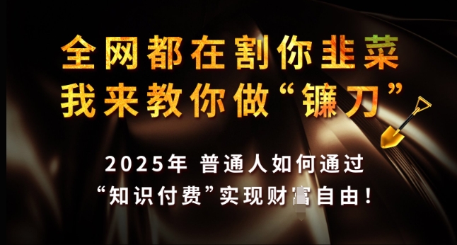 全网都在割你韭菜，我来教你做镰刀，2025年普通人如何通过 知识付费 实现财F自由【揭秘】-买得值资源库