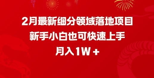 2月最新细分领域落地项目，新手小白也可快速上手，月入1W-买得值资源库