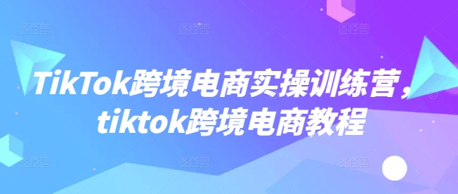 TikTok跨境电商实操训练营，tiktok跨境电商教程-买得值资源库