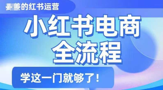 小红书电商全流程，精简易懂，从入门到精通，学这一门就够了-买得值资源库