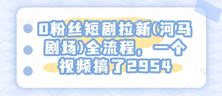 0粉丝短剧拉新(河马剧场)全流程，一个视频搞了2954-买得值资源库