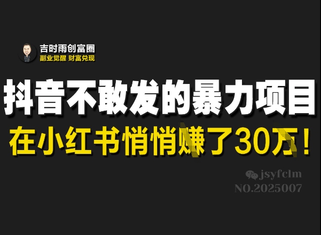 抖音不敢发的暴利项目，在小红书悄悄挣了30W-买得值资源库